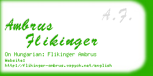ambrus flikinger business card
